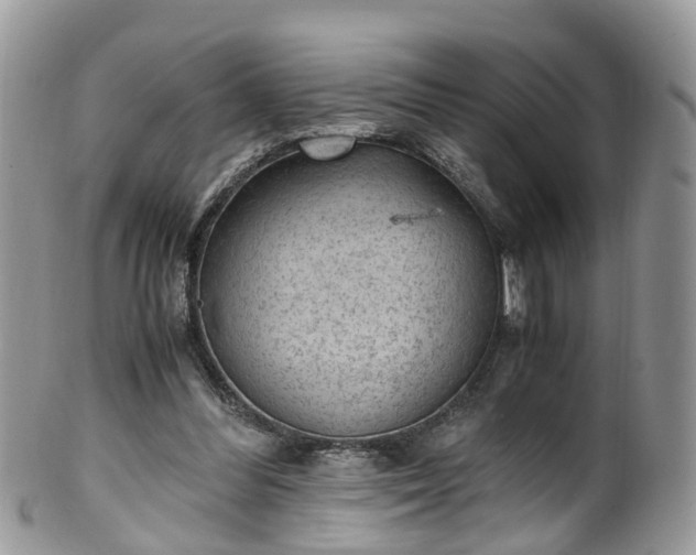 X0000100420300200806131105