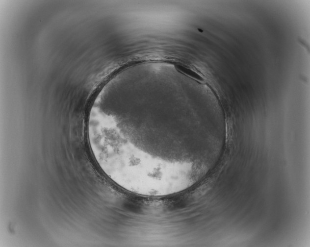 X0000100420301200806131105