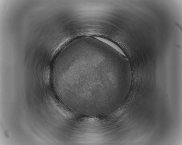 X0000100420304200806131105