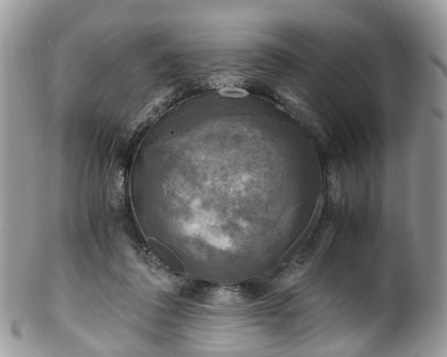 X0000100420308200806131104