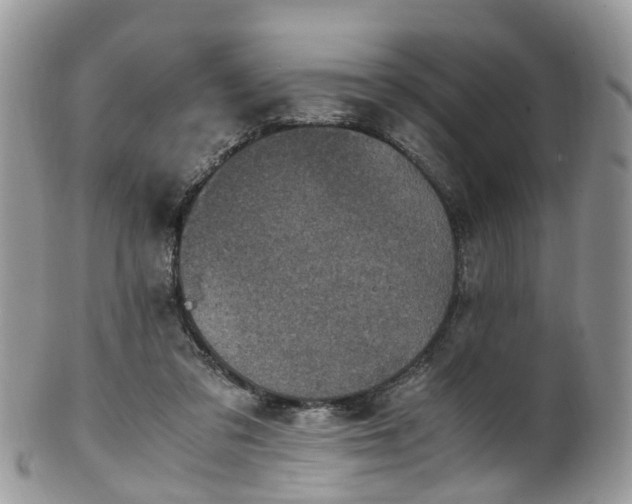 X0000100420309200806131104