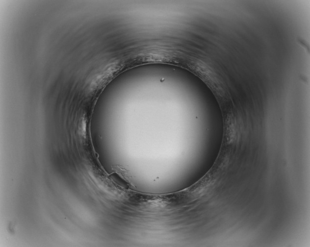 X0000100420310200806131104