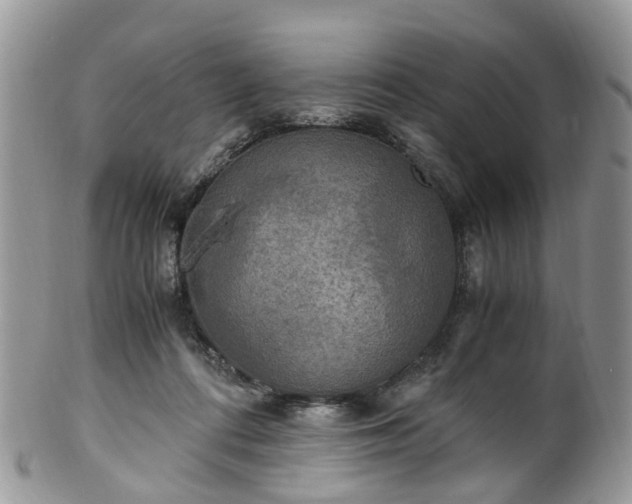 X0000100420312200806131104