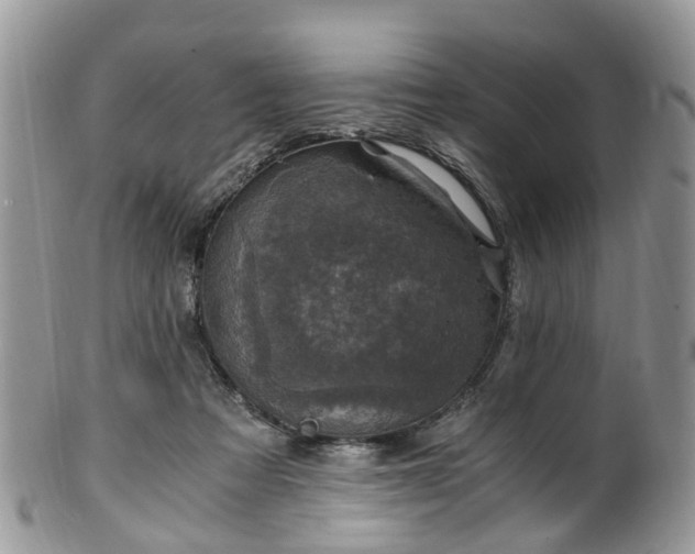 X0000100420313200806131104