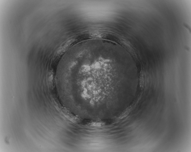 X0000100420314200806131104