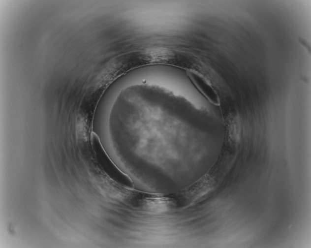 X0000100420316200806131104