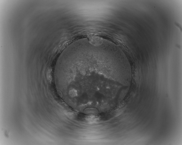 X0000100420319200806131104