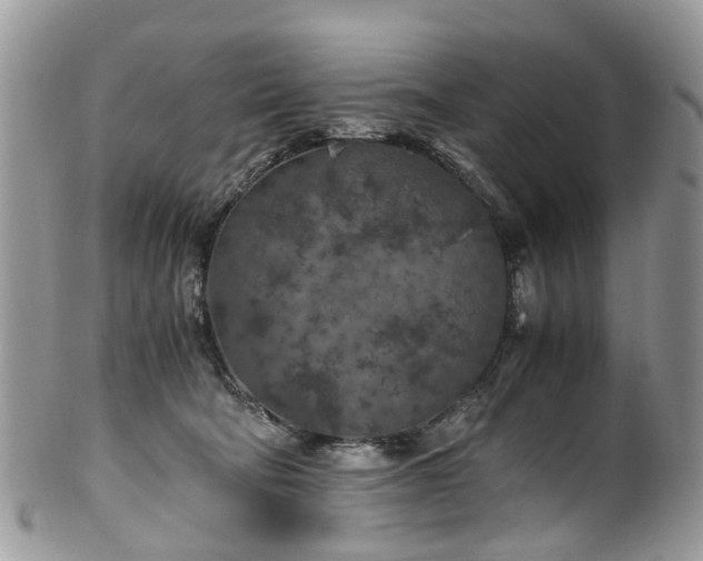 X0000100420322200806131104