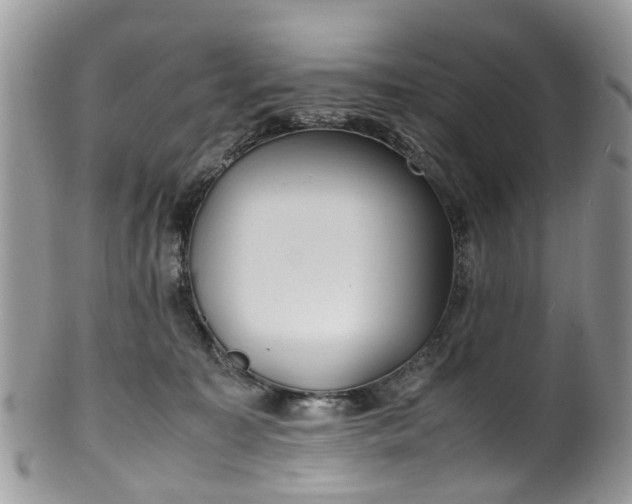 X0000100420323200806131104