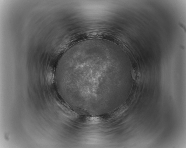 X0000100420324200806131104