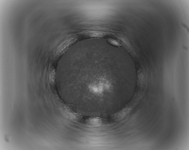 X0000100420325200806131104