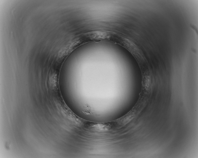 X0000100420326200806131104