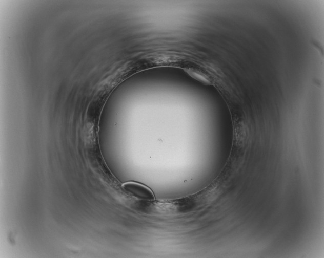 X0000100420327200806131104
