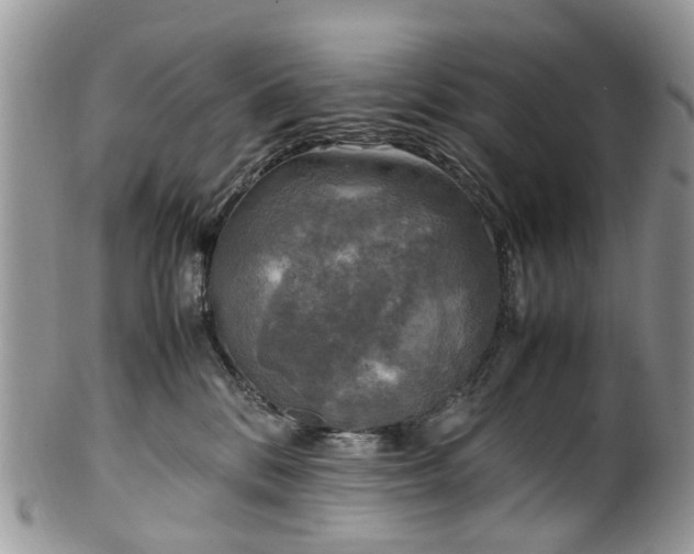 X0000100420328200806131104