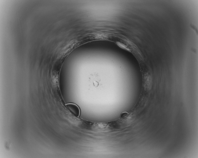 X0000100420329200806131104