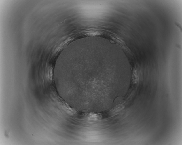 X0000100420330200806131104