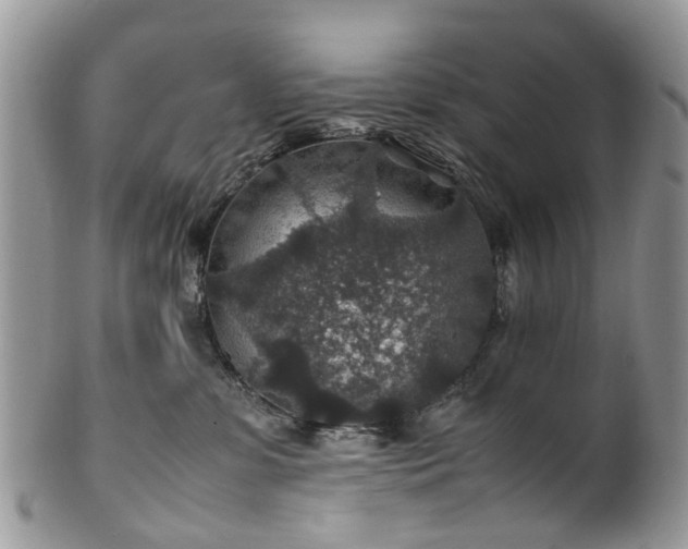 X0000100420331200806131104