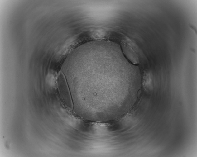 X0000100420332200806131104