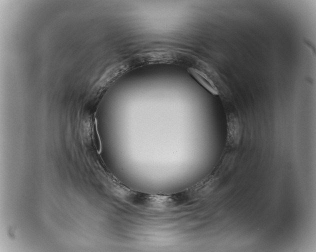 X0000100420333200806131104