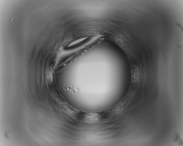 X0000100420334200806131104