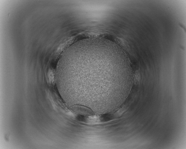 X0000100420335200806131104