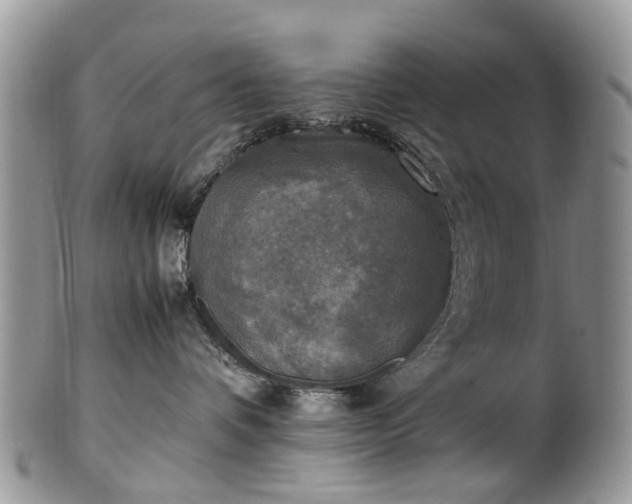 X0000100420336200806131104