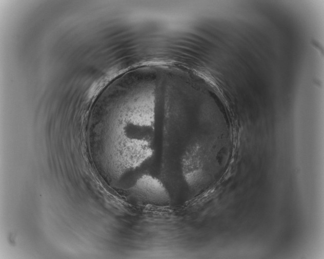 X0000100420337200806131103