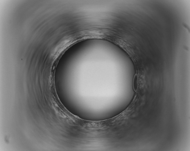 X0000100420338200806131103