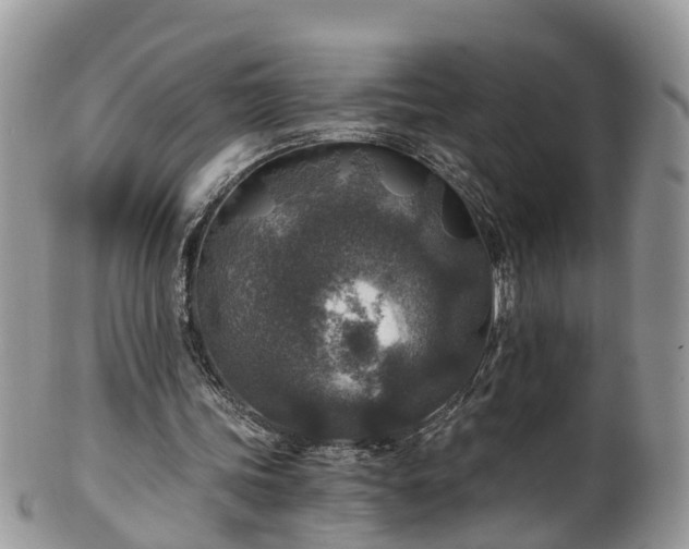 X0000100420339200806131103