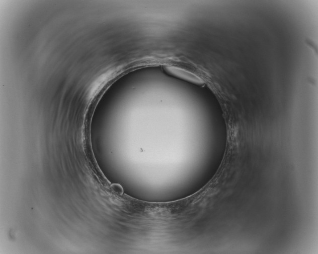 X0000100420340200806131103