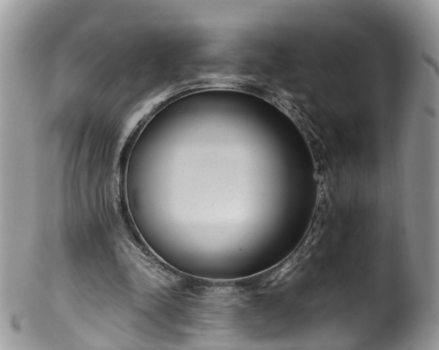 X0000100420342200806131104