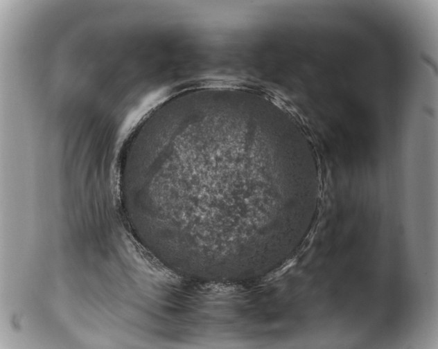 X0000100420343200806131104