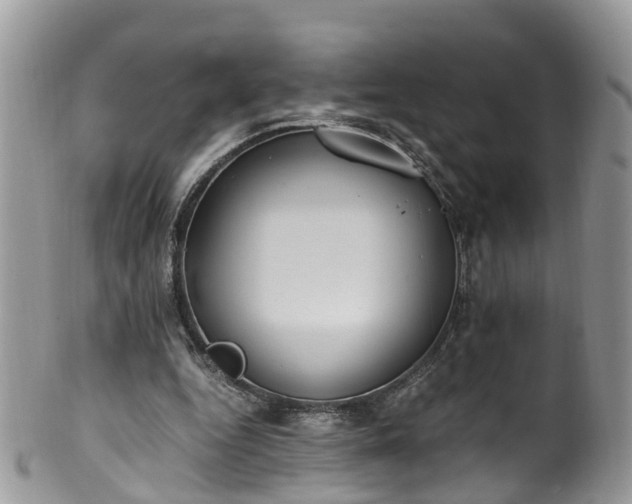 X0000100420344200806131104