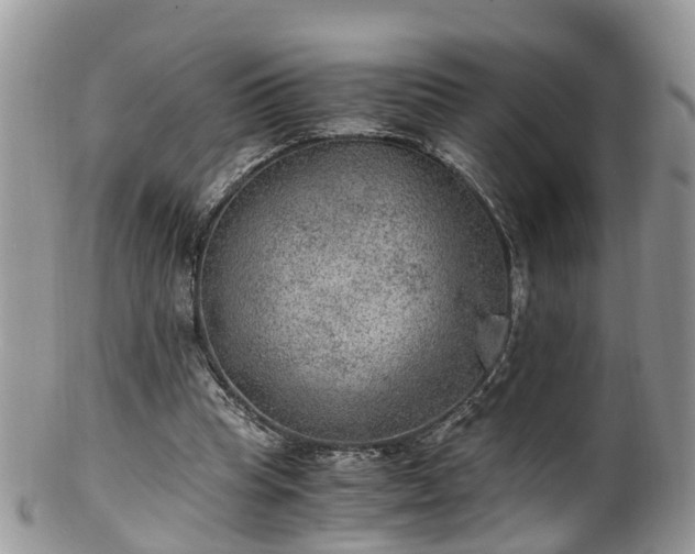 X0000100420345200806131104