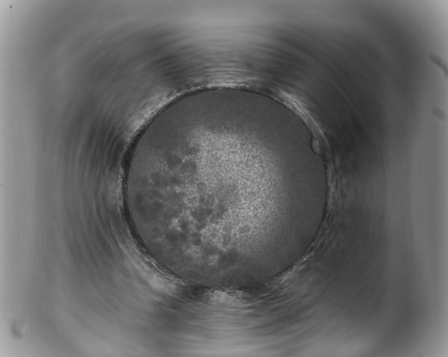 X0000100420346200806131104