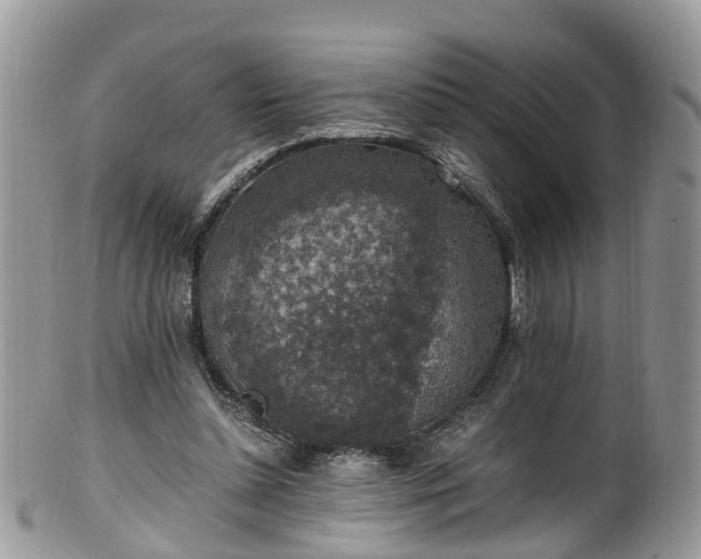 X0000100420348200806131104