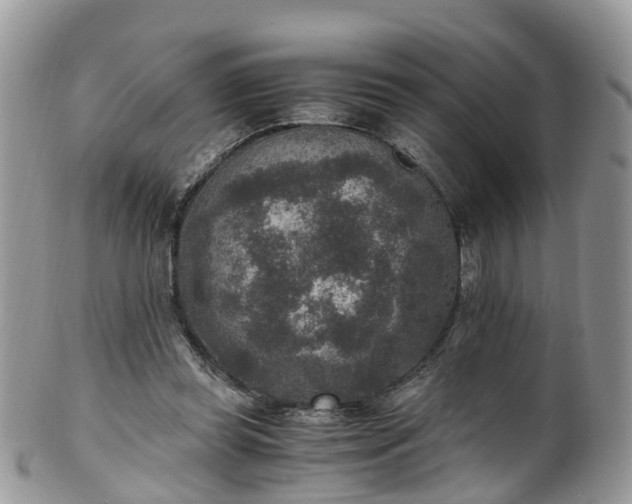 X0000100420349200806131104