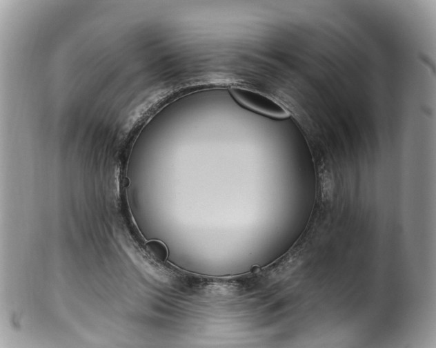 X0000100420350200806131104