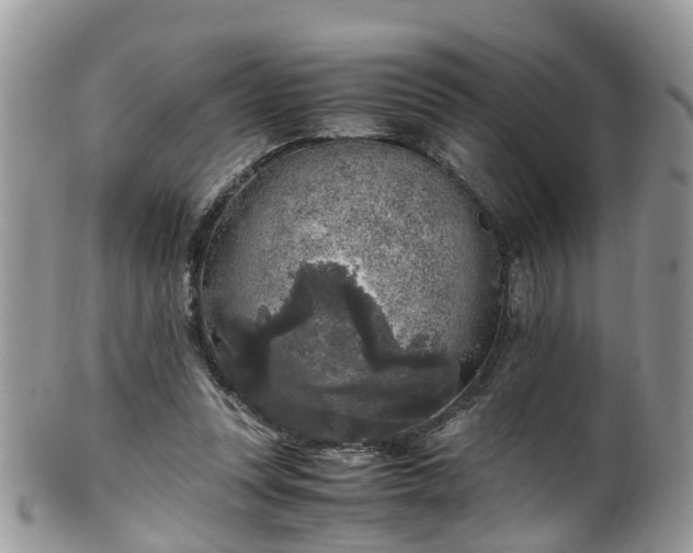 X0000100420351200806131104