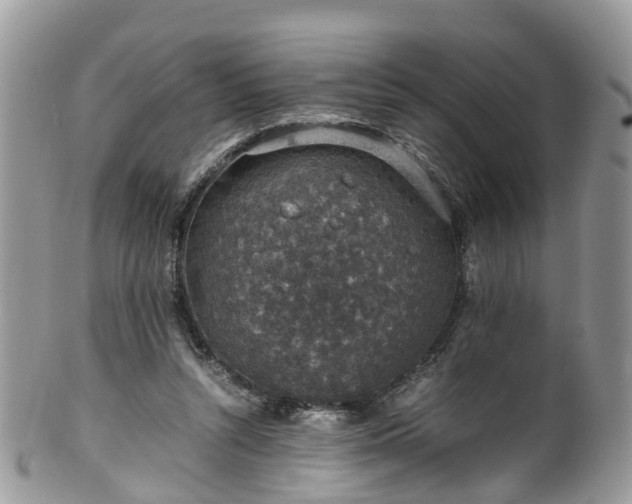 X0000100420352200806131104