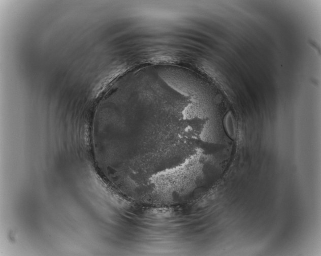 X0000100420353200806131104