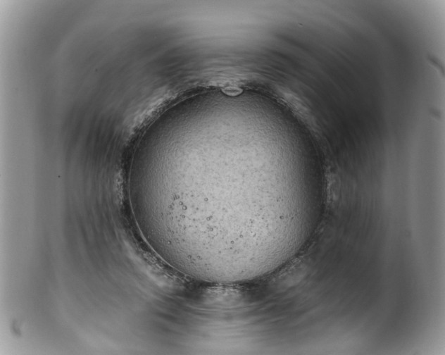 X0000100420354200806131104