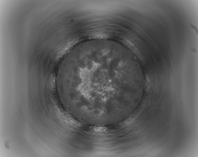 X0000100420355200806131104