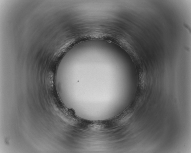 X0000100420356200806131104