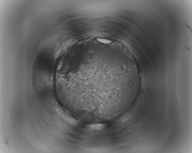 X0000100420357200806131104