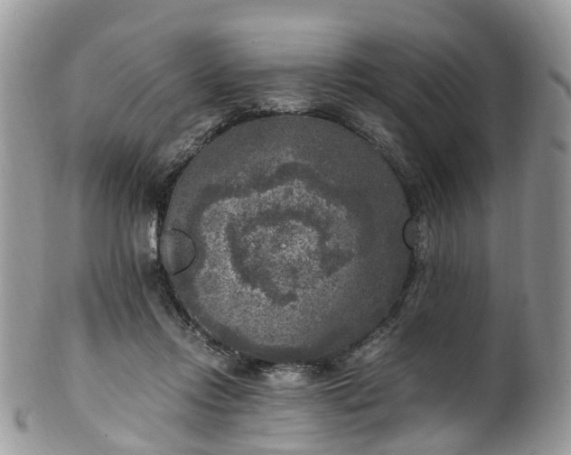 X0000100420358200806131104