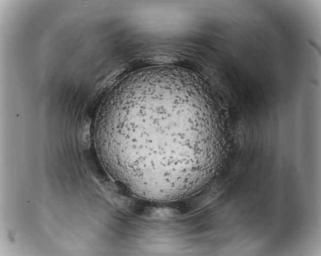 X0000100420360200806131104