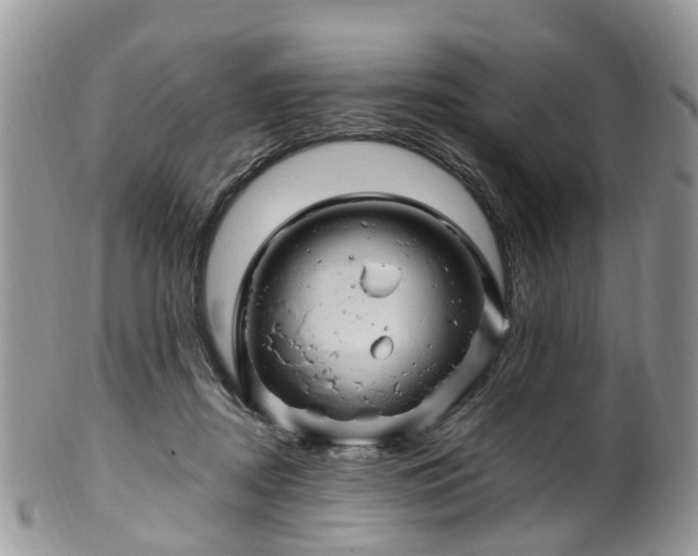 X0000100420362200806131104