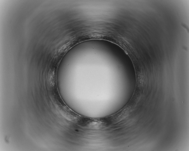 X0000100420364200806131104