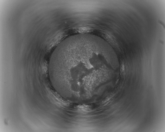 X0000100420367200806131104